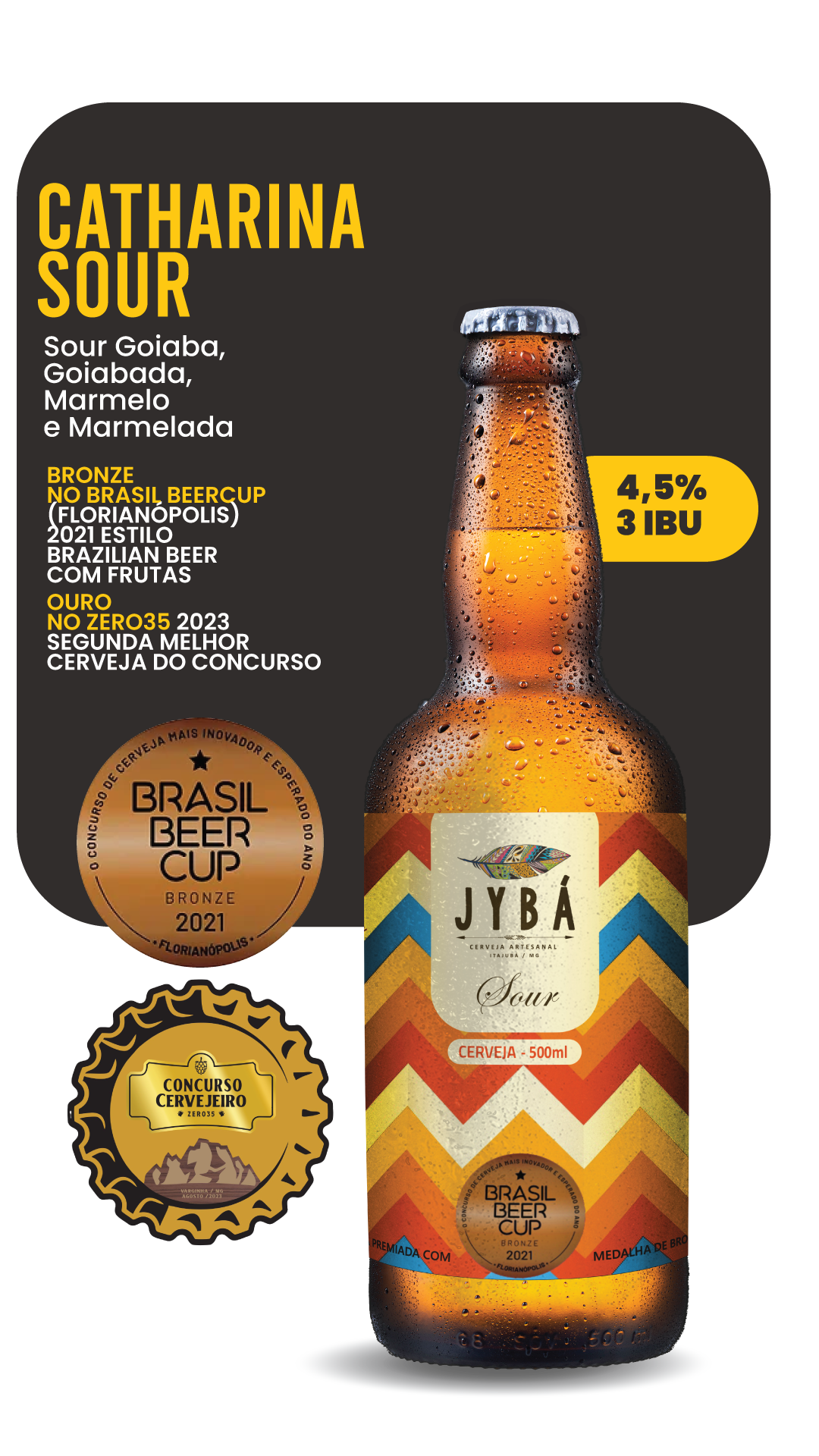 Catharina Sour Jybá — Cerveja artesanal premiada